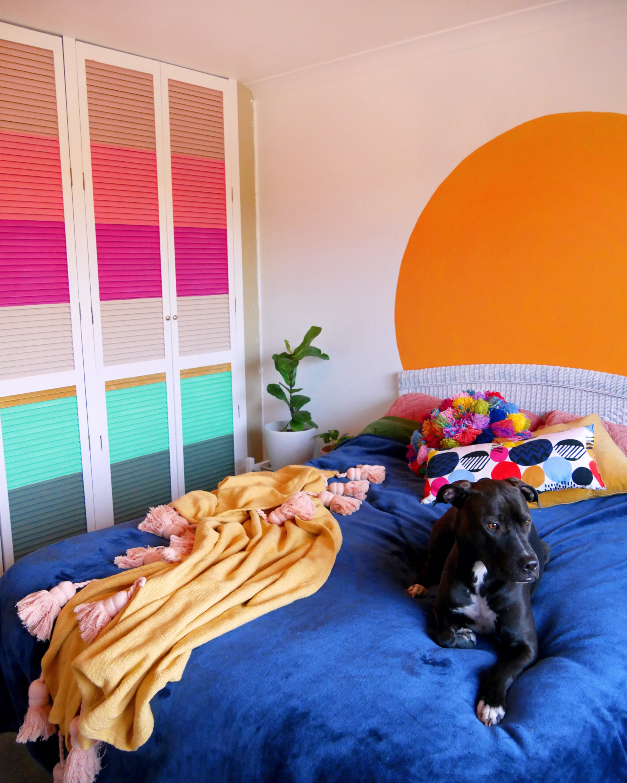 DIY Colourful Wardrobe: Home Renovation Diaries #5